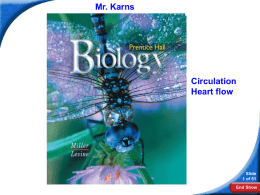 37–1 The Circulatory System
