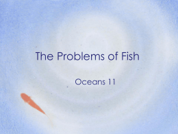 The Problems of Fish
