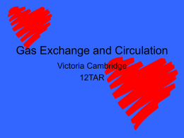 Gas Exchange and Circulation