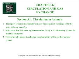 Circulation and Gas Exchange PowerPoint