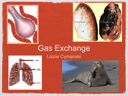 Gas Exchange - Crestwood Local Schools