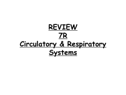REVIEW 7R Circulatory & Respiratory Systems 1. Which part of the