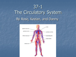 37-1 The Circulatory System