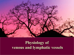 30 Physiology of venous and lymph system