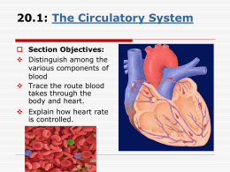 37.2: The Circulatory System