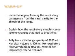 Respiratory System Notes