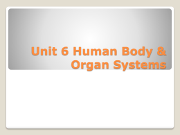 Unit 6 Human Body & Organ Systems