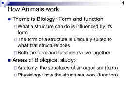 How Animals work