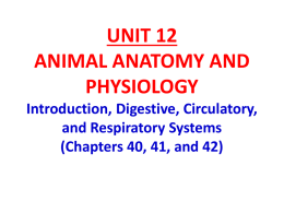 Unit 12 Animal Anatomy and Physiology Part 1