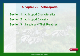 Arthropods - Mr. Jones Jaguars