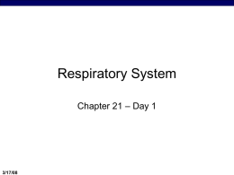 Respiratory System, Day 1