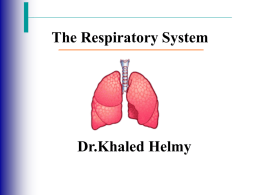 Respiratory_Anatomy