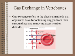 Gas Exchange in Vertebrates