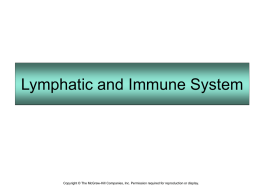 5.2.05 Immune System