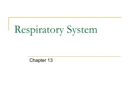 Respiratory System - walker2015