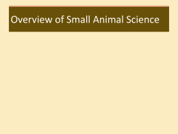 SA101 Overview of Small Animal Science