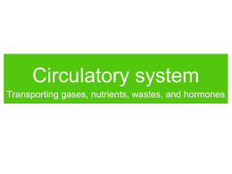 Ch32-Circulatory_system