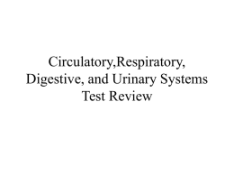 Urinary System What is renal dialysis?