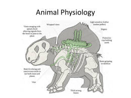 Animal Physiology Powerpoint