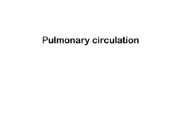 36. Pulmonary circulation