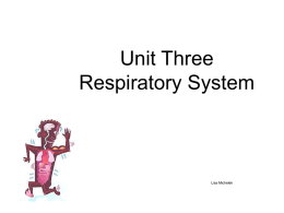Unit Three Respiratory System