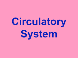 Circulatory System - Wappingers Central School District