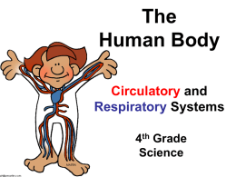 What is the circulatory system?
