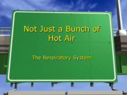Not Just a Bunch of Hot Air