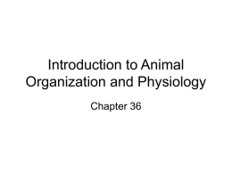 Introduction to Animal Organization and Physiology