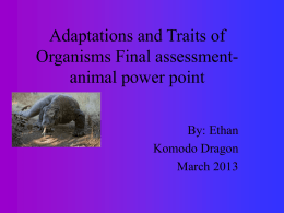 Adaptations and Traits of Organisms Final assessment