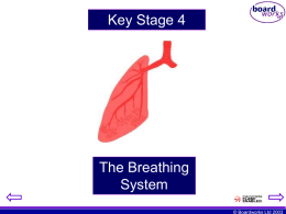 breathing systems