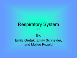respiratoryeem