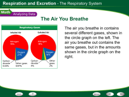 Respiration and Excretion