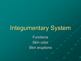 Integumentary system functions PP