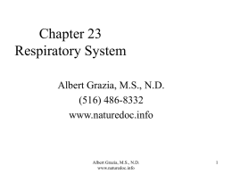 Chapter 23 Respiratory