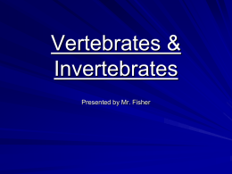 Vertebrates & Invertebrates - Mr. Fisher`s 5th Grade Class