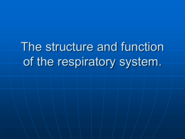 The structure and function of the respiratory system.