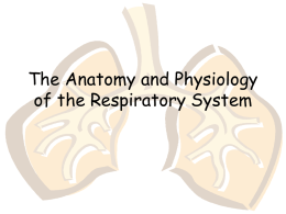The Anatomy and Physiology of the Respiratory system