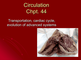 Circulation Chpt. 44