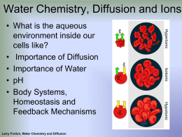 Diffusion and the Molecules of Life