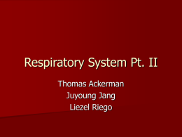 Respiratory System Pt2