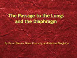 BREATHING: the diaphragm and how it gets there