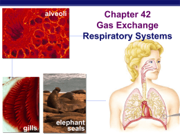 Respiration Fill in Blank Notes - Bremen High School District 228
