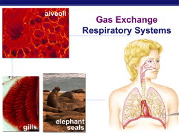 AP Biology Gas exchange in many forms…