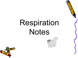 Respiration Notes