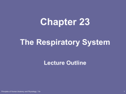 Ch 23 Respiratory Notes