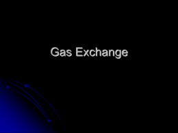 Gas Exchange BASIC overview