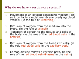 Respiratory system - simonbaruchcurriculum