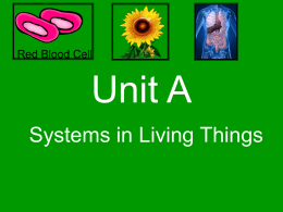 Unit-A - TeacherWeb