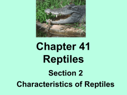 Chapter 41 Reptiles